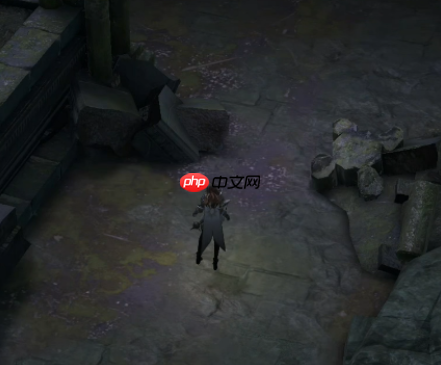 《地下城堡4：骑士与破碎编年史》荒石海湾资源点位置一览