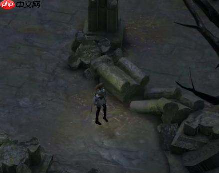 《地下城堡4：骑士与破碎编年史》荒石海湾资源点位置一览