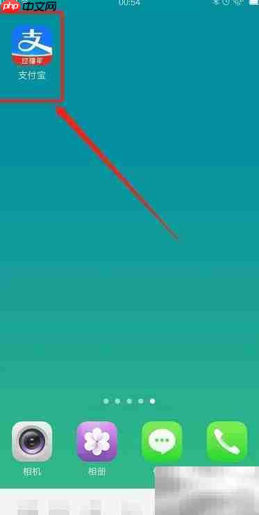 大庆公积金个人账户查询指南