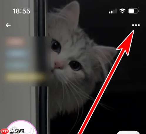 《戏鲸》取消关注方法