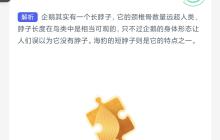 企鹅和海豹猜猜谁有一个长脖子