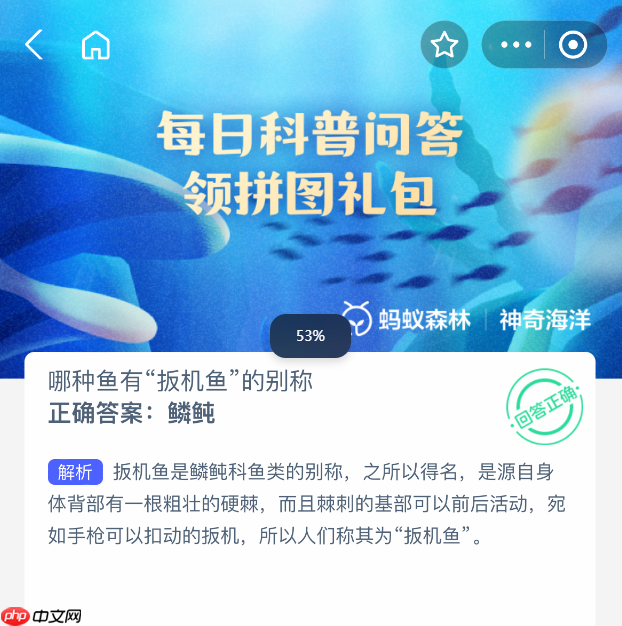 哪种鱼有扳机鱼的别称