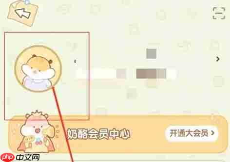 奶酪单词头像框更换