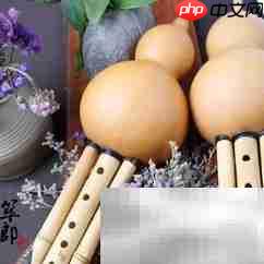 网上选购葫芦丝全攻略