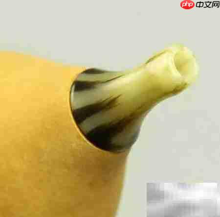 网上选购葫芦丝全攻略