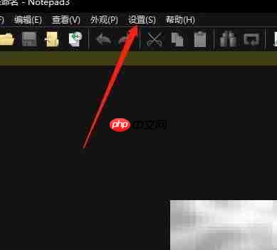 Notepad3简体中文使用指南
