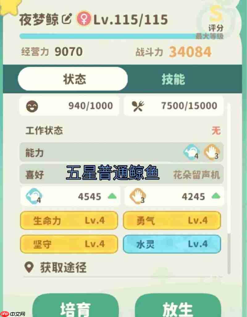 《米姆米姆哈》小火马攻略