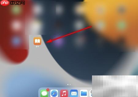 iPad图书App使用指南