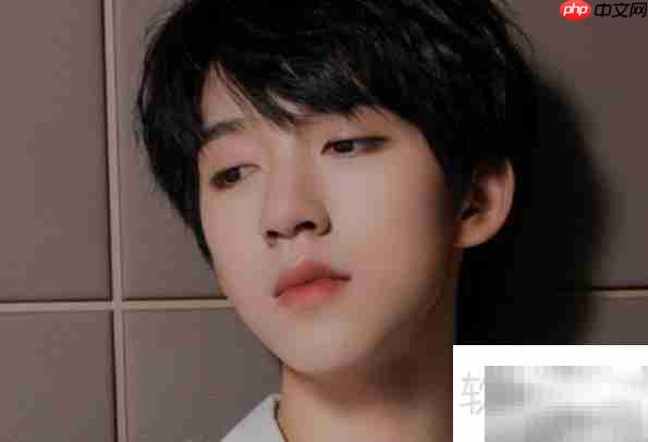 贺峻霖经典语录精选