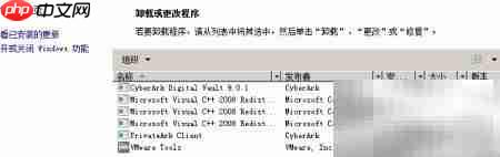 Cyber Ark Vault客户端安装指南