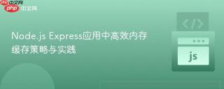 Node.js Express应用中高效内存缓存策略与实践