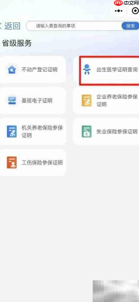 手机查询出生证明方法