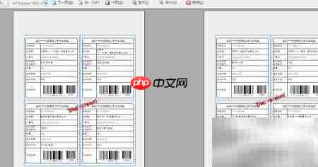 变码印刷技术解析