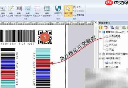 变码印刷技术解析