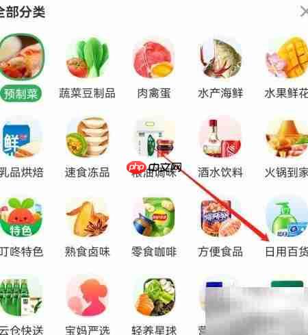 叮咚买菜如何搜日用百货