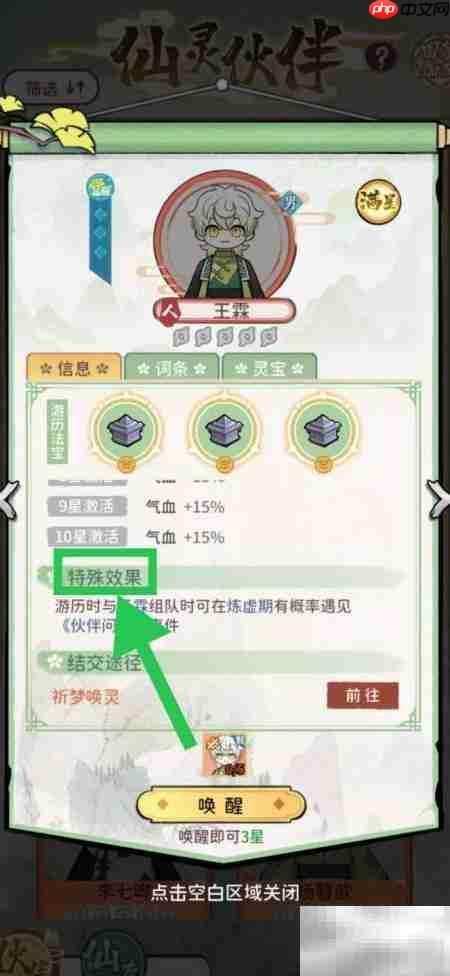 查看王霖特殊效果方法