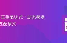 Go语言正则表达式：动态替换并保留匹配原文