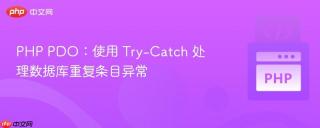 PHP PDO：使用 Try-Catch 处理数据库重复条目异常