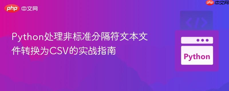 Python处理非标准分隔符文本文件转换为CSV的实战指南
