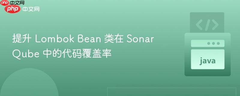 提升 lombok bean 类在 sonarqube 中的代码覆盖率
