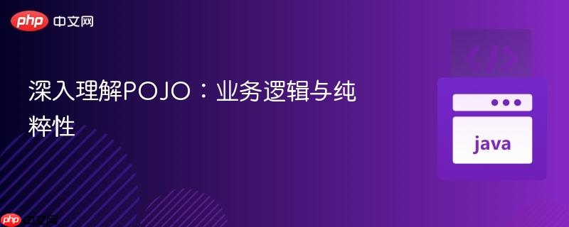 深入理解POJO：业务逻辑与纯粹性
