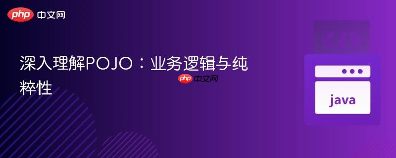 深入理解POJO：业务逻辑与纯粹性

