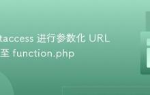 使用 .htaccess 进行参数化 URL 重定向至 function.php