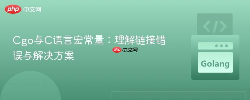 Cgo与C语言宏常量：理解链接错误与解决方案