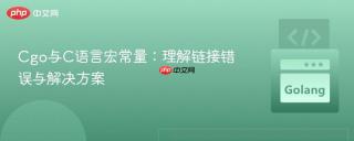 Cgo与C语言宏常量：理解链接错误与解决方案