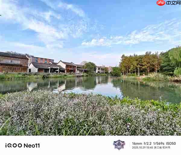 2599买骁龙8至尊版芯片 iQOO还在买芯片送手机