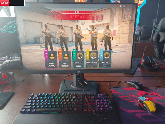 网友揭秘朝鲜国营网吧:ROG显示器 能打CS