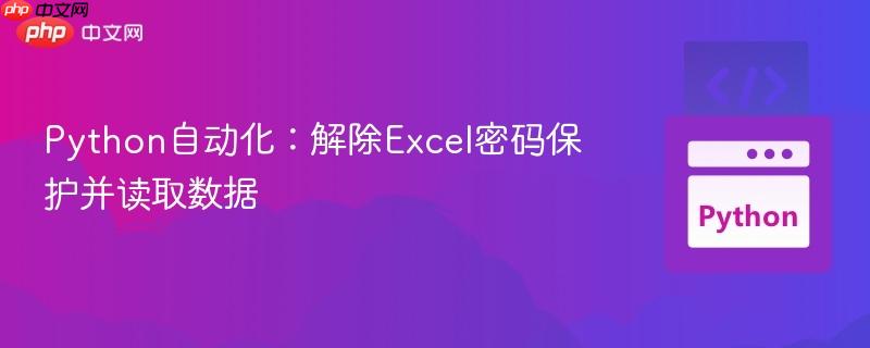 Python自动化：解除Excel密码保护并读取数据