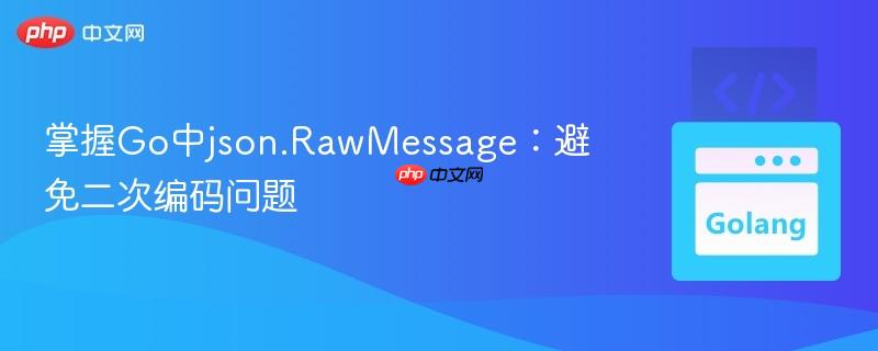 掌握Go中json.RawMessage:避免二次编码问题
