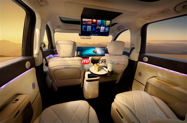 奇瑞全尺寸SUV只卖18.99万爆单!风云T11上市24小时大定38169台