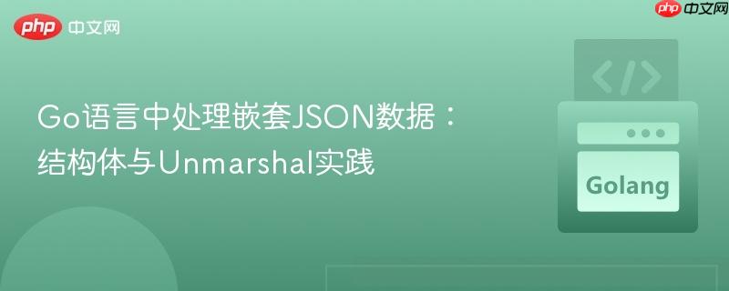 Go语言中处理嵌套JSON数据:结构体与Unmarshal实践