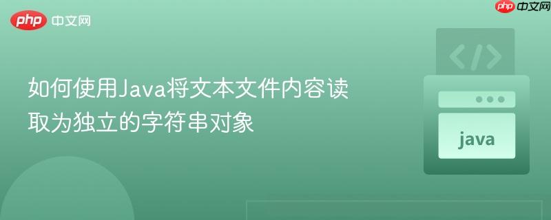 如何使用Java将文本文件内容读取为独立的字符串对象