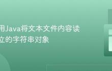 如何使用Java将文本文件内容读取为独立的字符串对象