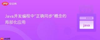 Java并发编程中“正确同步”概念的局部化应用