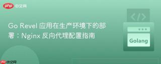 Go Revel 应用在生产环境下的部署：Nginx 反向代理配置指南