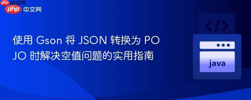 使用 gson 将 json 转换为 pojo 时解决空值问题的实用指南