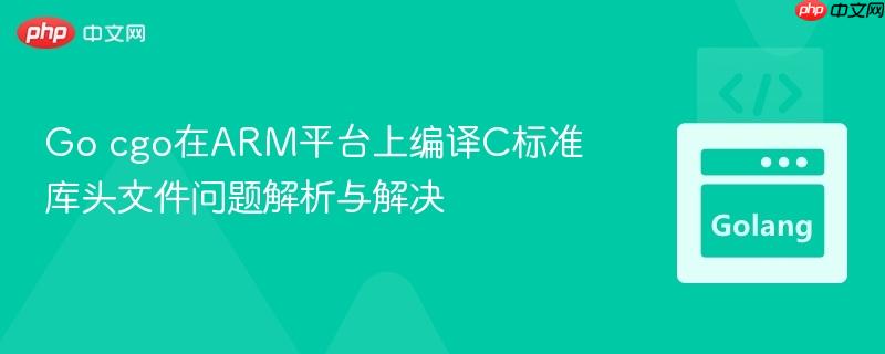 Go cgo在ARM平台上编译C标准库头文件问题解析与解决
