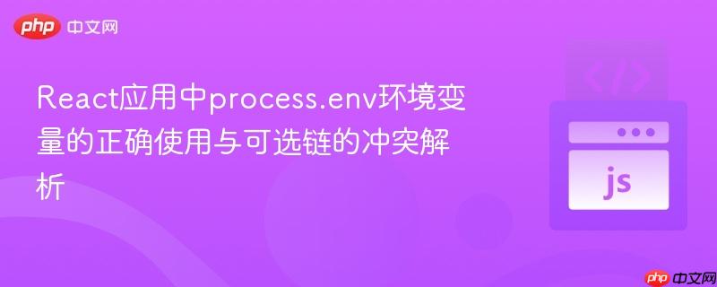 React应用中process.env环境变量的正确使用与可选链的冲突解析