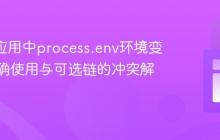 React应用中process.env环境变量的正确使用与可选链的冲突解析