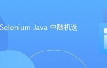 如何在 Selenium Java 中随机选择商品
