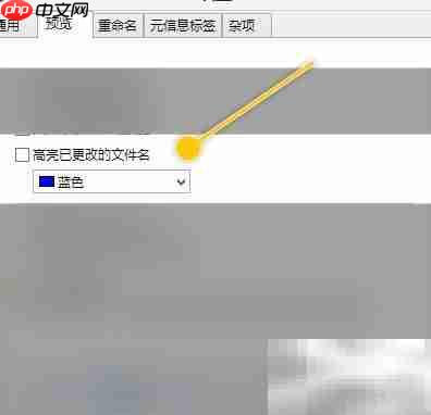 ReNamer高亮已改文件名设置