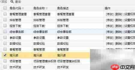 业务系统角色管理策略