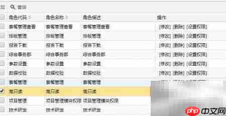 业务系统角色管理策略
