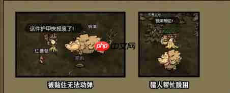 饥困荒野猪人使用手册