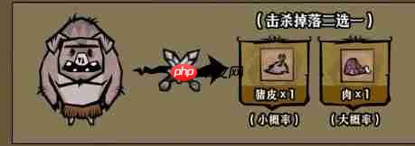 饥困荒野猪人使用手册