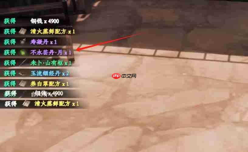 《下一站江湖2》不水芸丹月攻略